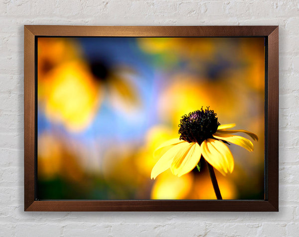 Cool Autumn Framed Print