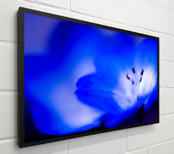 Electric Blue