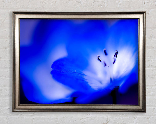 Electric Blue Framed Print