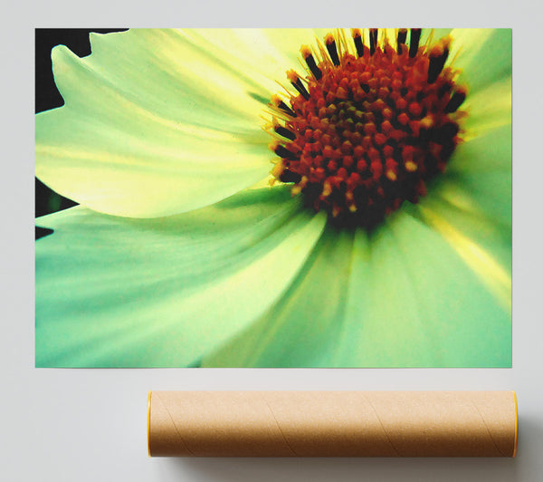 White Green Petals Print