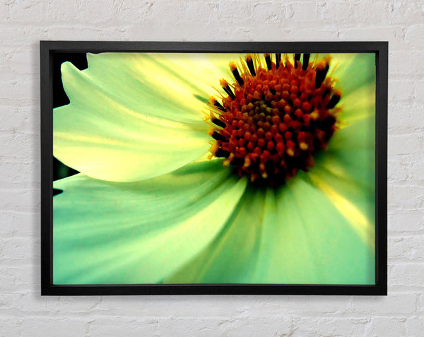 White Green Petals Framed Print