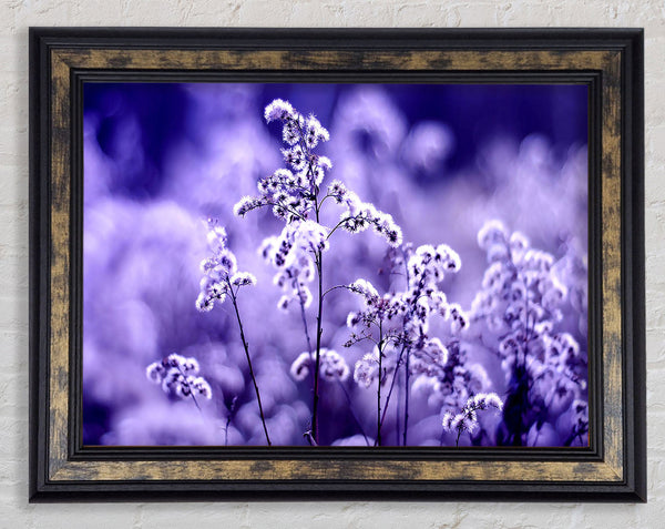 Motion Blur Framed Print
