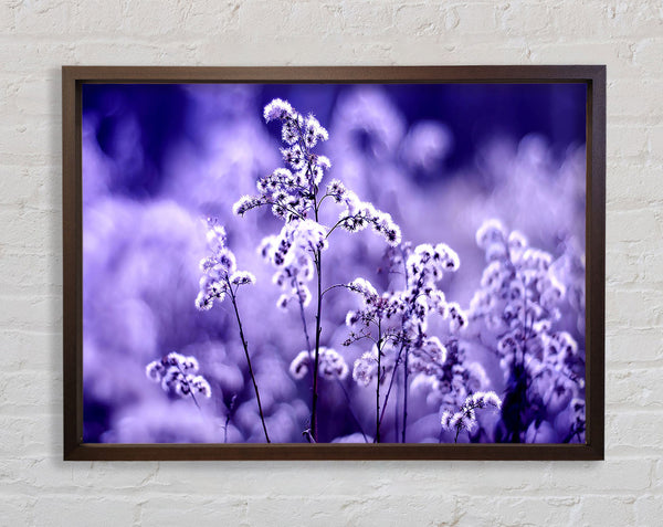 Motion Blur Framed Print