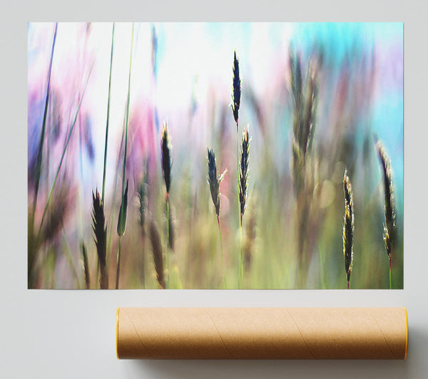Soft Field Grass Giclee Print