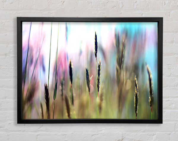 Soft Field Grass Framed Print