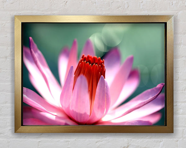 Light Purple Petals Framed Print