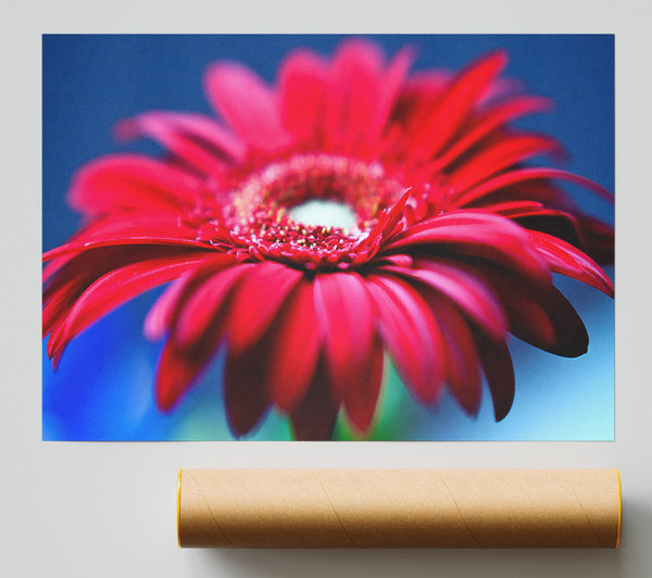 Fathers Day Flowers Giclee Print