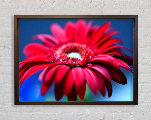 Fathers Day Flowers Framed Print