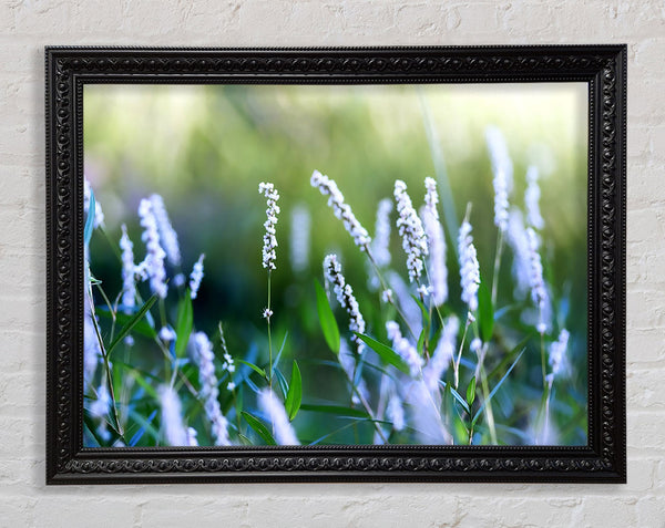 Blue Field Flowers Framed Print