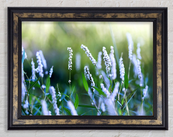 Blue Field Flowers Framed Print