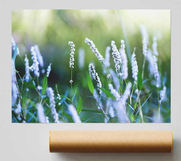 Blue Field Flowers Giclee Print
