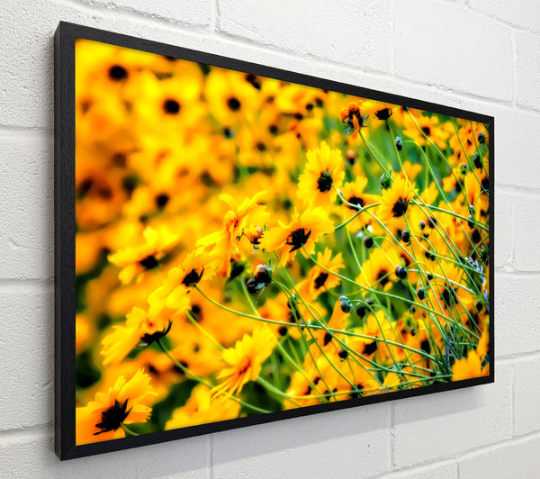 Very Yellow