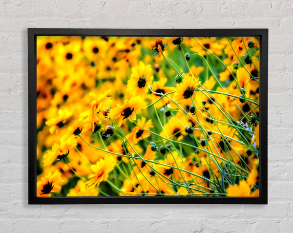 Very Yellow Framed Print