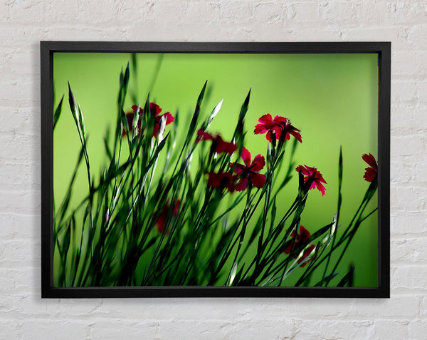 Small Field Flowers Framed Print