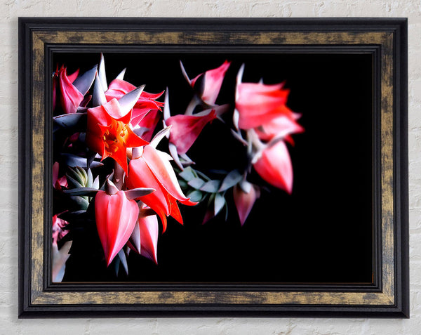 Red Spikes Framed Print