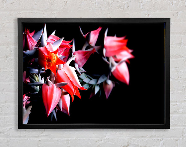 Red Spikes Framed Print