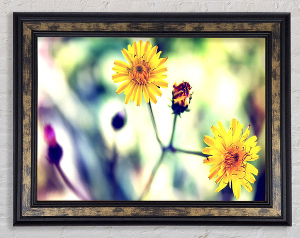 Weed Or Flower Framed Print
