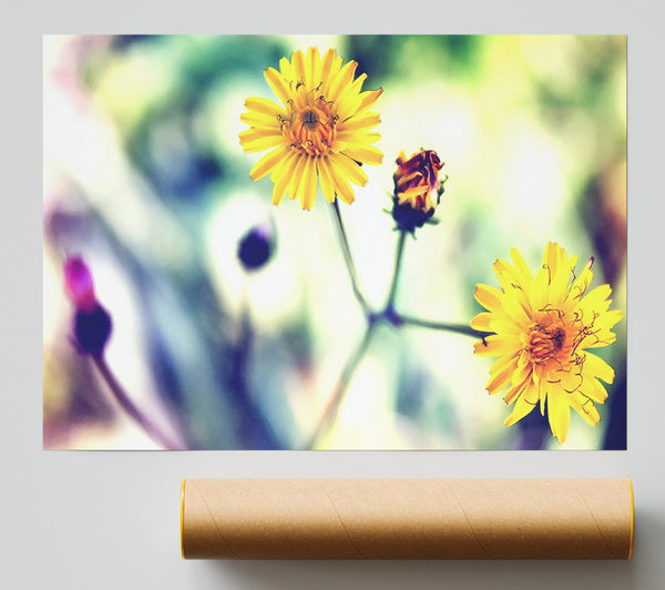 Weed Or Flower Print