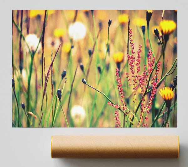 Flowers And Weeds Giclee Print