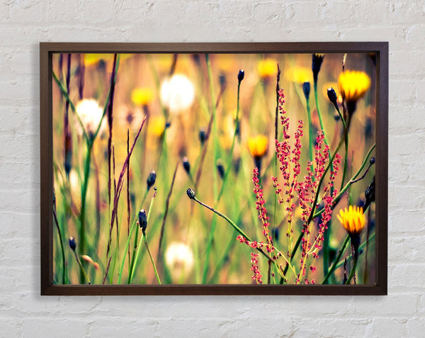 Flowers And Weeds Framed Print