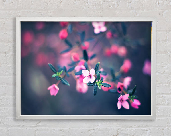 Four Petals Framed Print