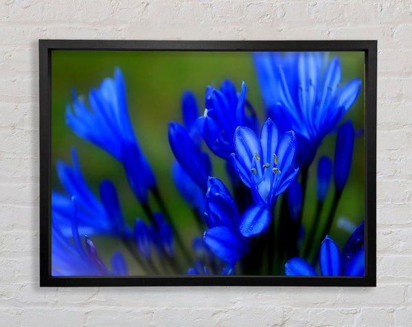 Blue Soft Look Framed Print