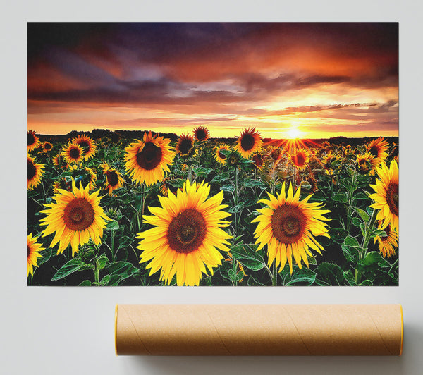 Magic Landscape Sunflower Field Print