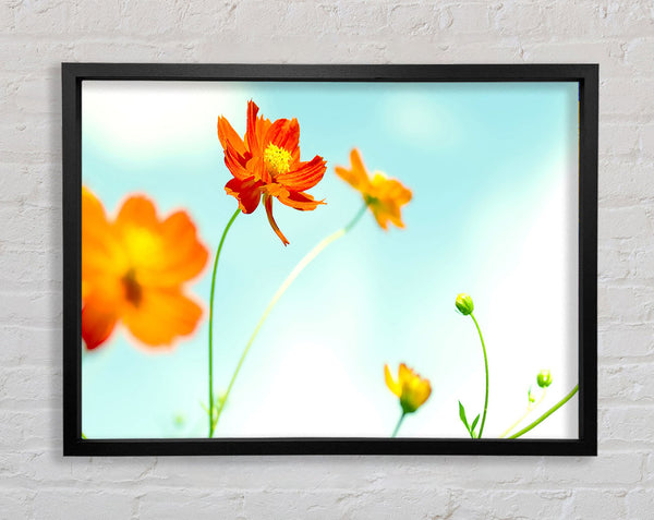 Perfect Flower Framed Print