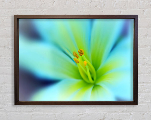Dreamy Flower Framed Print