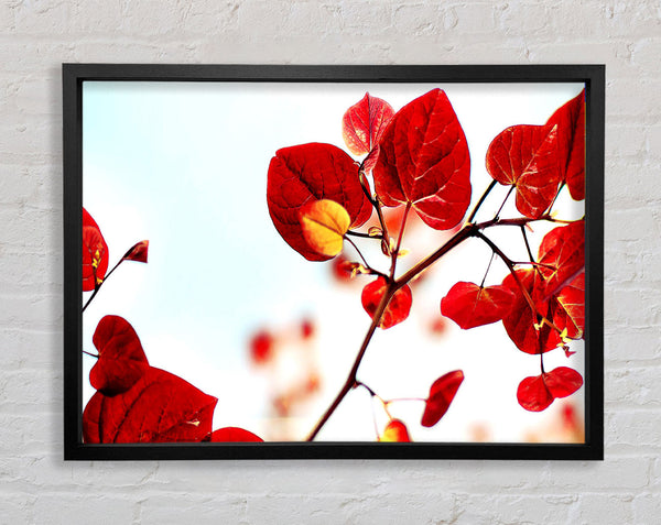 Heart Leaves Framed Print
