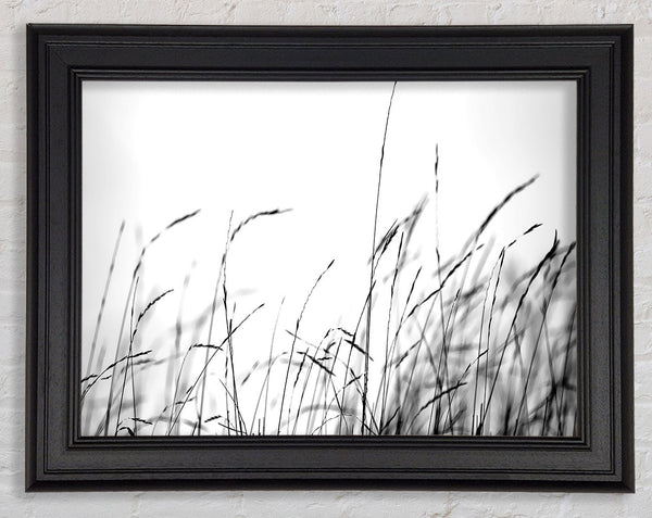 Little Shadow Framed Print