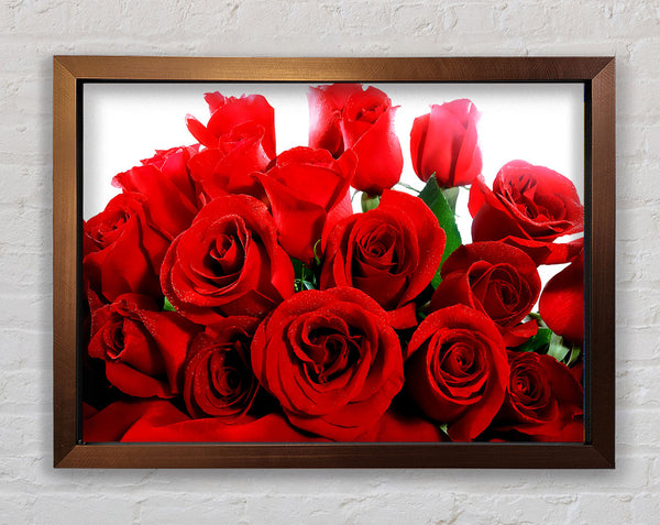 Lovely Red Roses Framed Print