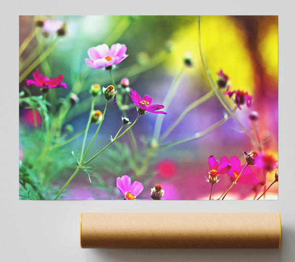 Amazing Wild Flowers Poster