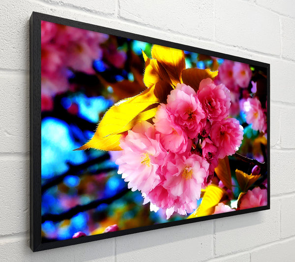 Beautiful Cherry Blossom Bunch