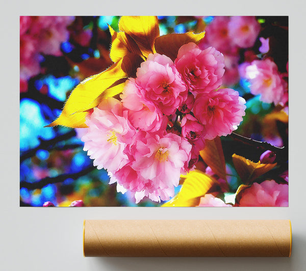 Beautiful Cherry Blossom Bunch Poster