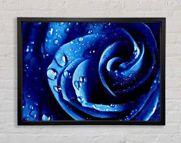 Wet Drops Blue Rose Framed Print