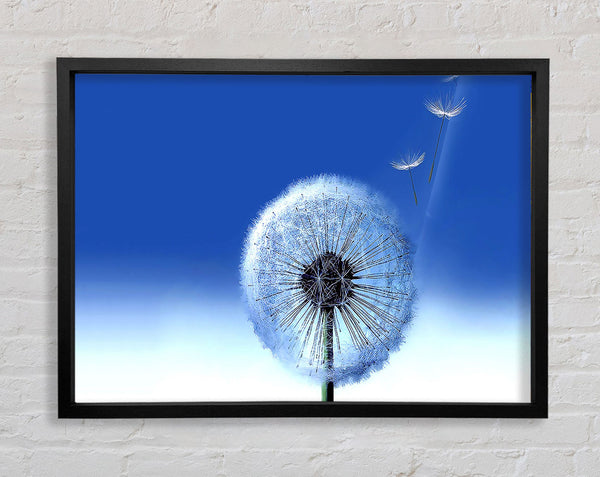 Wishes Going To Heaven Framed Print
