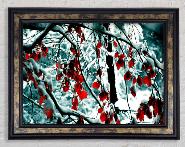 Snow Leaves Framed Print