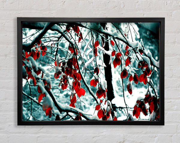 Snow Leaves Framed Print