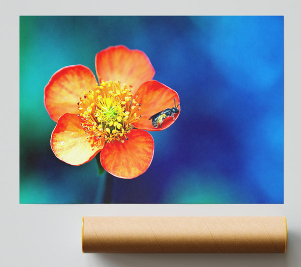 Pollen Overdose Giclee Print