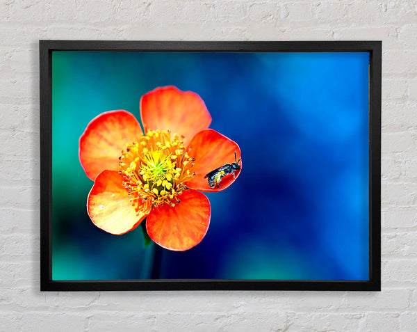 Pollen Overdose Framed Print