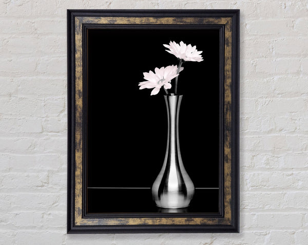 Just A Hint Of Pink Framed Print