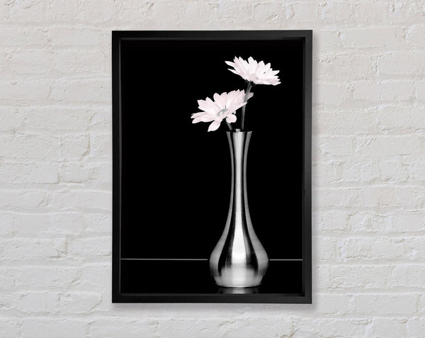 Just A Hint Of Pink Framed Print