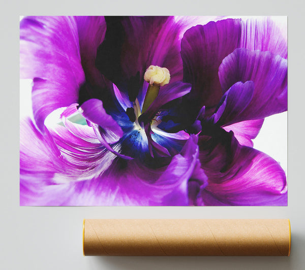 In The Purple Centre Of Beauty Giclee Print