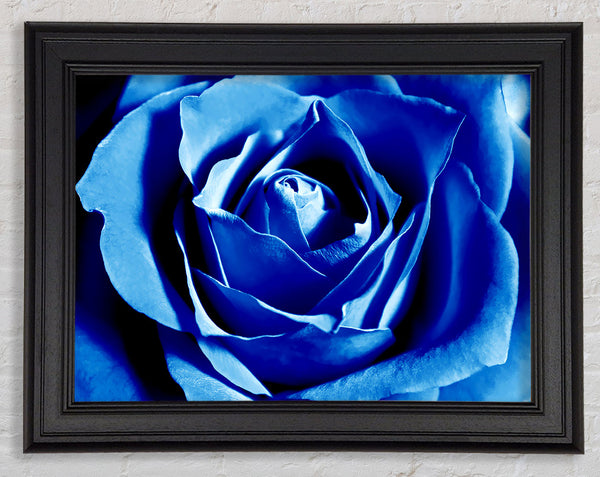 Blue Rose Petals Framed Print