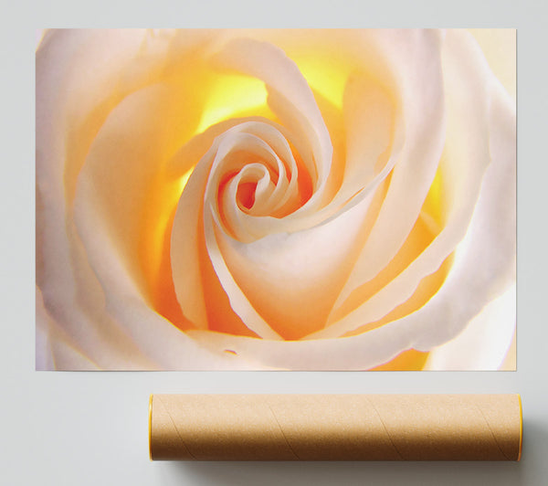 Soft Cream Yellow Rose Poster