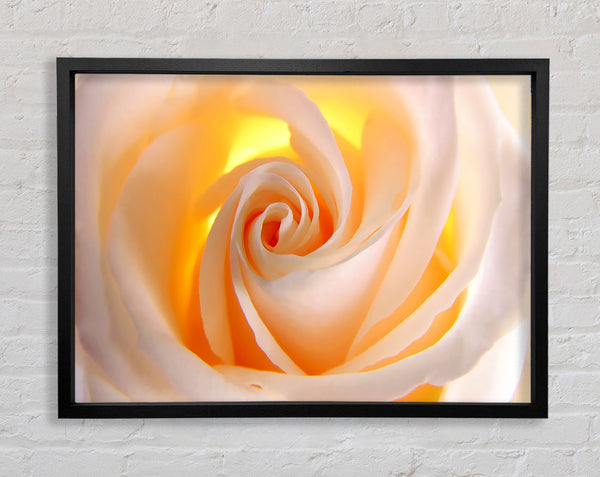Soft Cream Yellow Rose Framed Print
