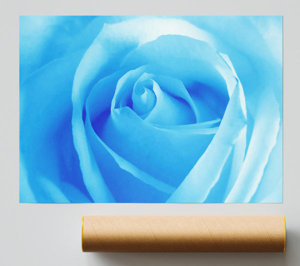 Baby Blue Rose Giclee Print