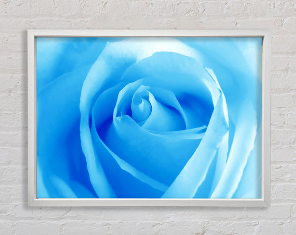 Baby Blue Rose Framed Print