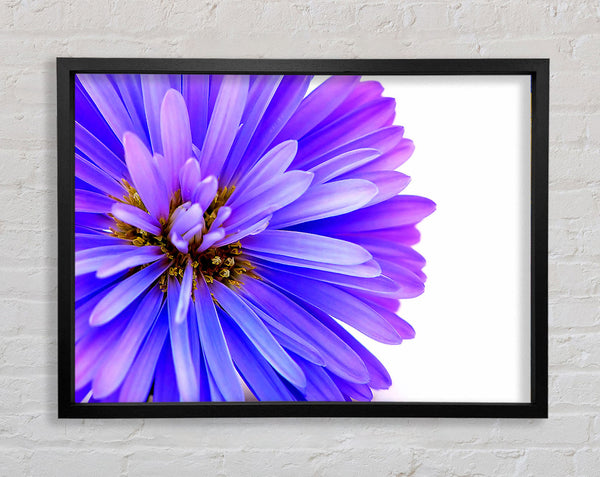 Soft Purple Petals Framed Print